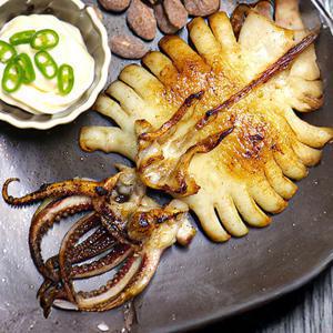 (신선집중) 구룡포 반건조 오징어 10미 총 700 내외+마요네즈 증정 (2개 구매 시 석쇠 증정)