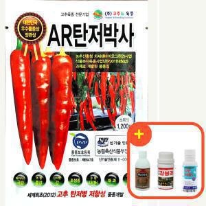 고추씨앗 탄저박사 고추 종자 1200립 고추와육종
