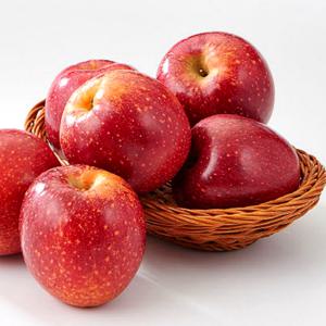 감홍사과 4.5kg 실속 대-특대과