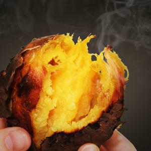 25년 햇 소리팜 해남 꿀고구마 5kg (대)