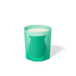 트루동 클래식 캔들 언더 더 트리 270g