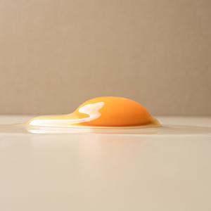 [당일산란/당일발송] 가농 1+등급 무항생제 특란 40구(HACCP 인증 계란 달걀)