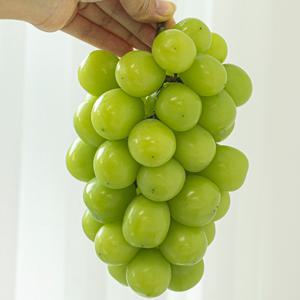 달콤한 샤인머스켓 실중량 2kg 3-5수내외