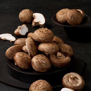 국내산 생표고버섯 파지 1.2kg 외