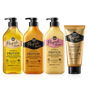 [롯데백화점][엘지생활건강]엘라스틴 프로폴리테라 샴푸/컨디셔너/트리트먼트 택1