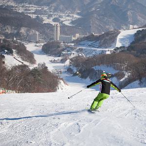 [윈터패키지] 휘닉스파크 2박 (3인)