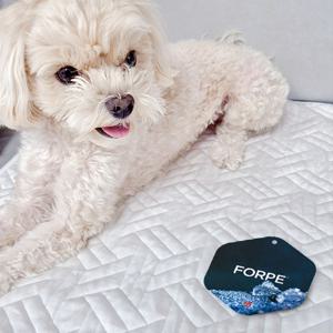 [한정수량] 쿨쿨아이스 포르페 냉감 펫시트 50X75