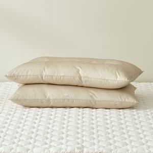 [1+1] 다프네 알러지케어 경추베개 (솜포함)