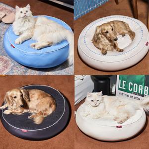 5 in 1  베이글 스테이지 쿠션