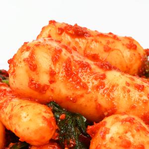 전라도 총각김치 1키로 10키로 1kg 10kg 남도식 매운 알타리