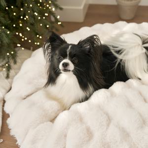 몽글몽글 밍크 라떼 원형 펫방석 강아지 고양이 겨울 쿠션 방석 2size