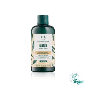 진저 스캘프 케어 컨디셔너 250ML