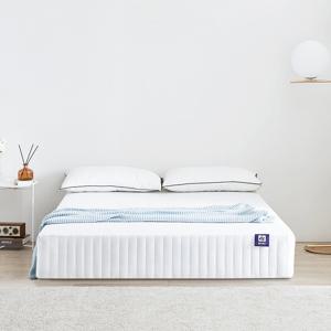 리브 본넬 양면 매트리스 퀸 Q DF907018