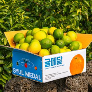 2025 첫 출하 제주레몬 그린레몬 2kg 3kg 5kg 산지직송 귤메달