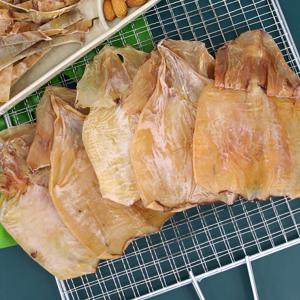 마른 오징어 미니 몸통 5미