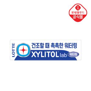[롯데] 자일리톨 껌 랩워터링 24g 판