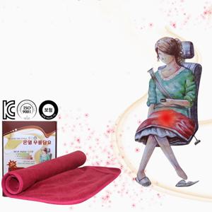 히트젠 열선 무릎담요 12V 승용 RV전용 온열담요 자동차담요 열선담요 열선방석