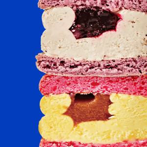 널담 뚱카롱 널담은 듀오에디션 고식이섬유 마카롱 16구 솔티드플라워/블루베리스타