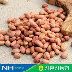 선운산 국내산 고창 생 알땅콩 1kg