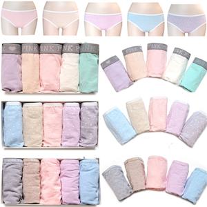 [하프클럽/마이핏]5종세트 면/팬티 순면팬티 학생팬티 여성팬티