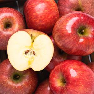 [25년 시즌] 아삭달콤! 사과의 여왕 가정용 부사사과 4KG (28-30과내외)