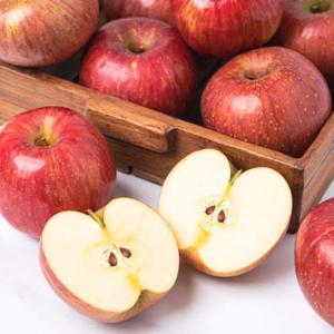 2025년 햇사과 경북 가정용 사과 중량 크기 선택