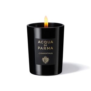 아쿠아 디 파르마 오스만투스 글래스 캔들 200g