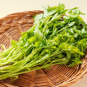 청도 한재 미나리(특품) 200g(1단) 외 2단/4단