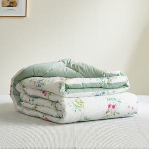 [NEW] 라플레 60수 고밀도면 밍크극세사 차렵이불 Q