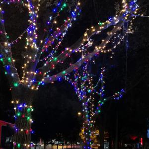 은하수 100구 투명선 LED 컬러 지니전구 10M   전원잭포함   연결가능