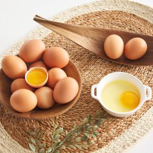 (신선집중) 알참참 HACCP 무항생제 난각번호1번 유정란 20구 계란 자연방사 2세트 구매 시 2000원 할인