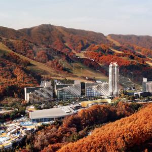 빅스마일|휘닉스평창 패키지(조식or워터파크or스노우빌리지)