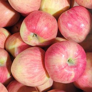 경북 부사사과 빨간 홍로사과 가정용 꿀 햇 사과 3kg // 빨간사과 (홍로 아리수 홍옥 양광 혼합) / 가정용