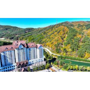 모나 용평 그린피아 콘도 (강원 평창군 리조트)