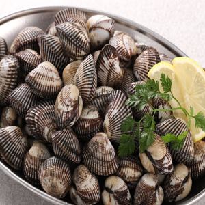 당일 채취 남해안 세척 해감 새꼬막 3kg 270미 내외