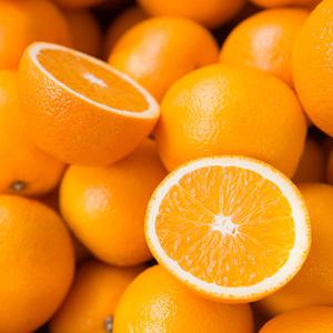 거북농산) 네이블오렌지 20개(야구공크기) / 그 외 크기선택가능