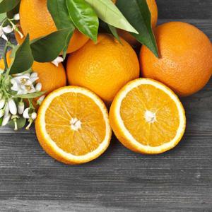 거북농산) 네이블오렌지 17kg 86-88과 / 17kg 113과 88과 72과 선택