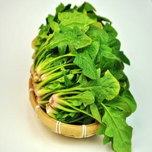 시금치 남해시금치 하우스 시금치 1kg / 초특가 행사