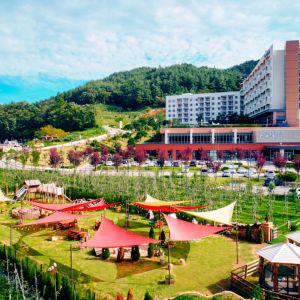 |숙박세일|소노벨 청송(경북 리조트/청송/포항/영덕/울진)