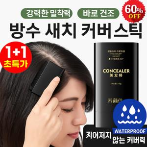 1+1양안스 헤어스틱 방수 땀방지 헤어커버 쿠션 안지워지는 새치 흑채 브러쉬형 바르는 타입