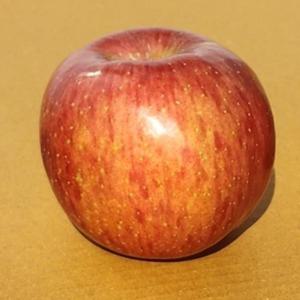 햇 홍로사과 안동 청송사과 3kg 경북 부사 홍로 감홍 /11월 부사 28일까지 특별할인+무료배송