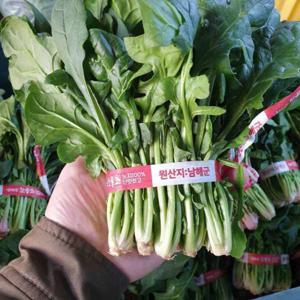 남해 보물섬 시금치 섬초 해풍 시금치 제철 산지직송 1kg 1+1 행사 (총 2kg) - 11/15~11/21 최저가 판매