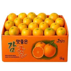 제주땡큐베리팜제주 산지직송 귤 제주 노지감귤 5kg 로얄과