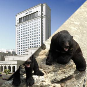 (충북) 엔포드 호텔 +운보미술관 or 베어트리파크 2인 패키지 구) 청주 그랜드플라자 호텔