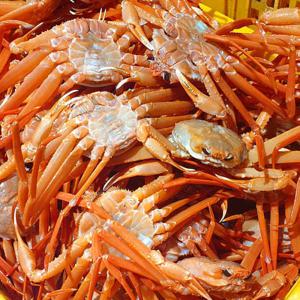 홍게 대게 박달홍게 (다리 수율 80~90% 내외) A급 자숙 박달홍게 3kg (8미 내외) 초특가 행사