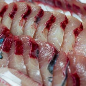 최상품 남해 국내산 중대방어회 중대방어 방어회 필렛 500g 기간한정 초특가행사