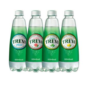 롯데칠성 트레비 500ml x 20개 4가지맛 선택 플레인 레몬 자몽 라임 자몽만 18개