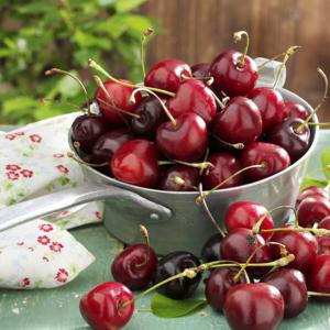 탱글탱글 생체리 프리미엄 과일선물(10-10.5 row)