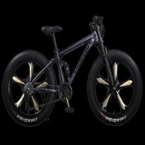 산악 자전거 성인 오프로드 남성용 여성용 두꺼운 광폭 타이어