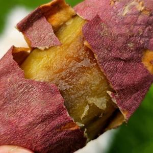 대한민국 고구마명장 25년 첫수확 여주 세척 햇 베니하루카 명장 꿀 고구마 특상 3kg 당일발송